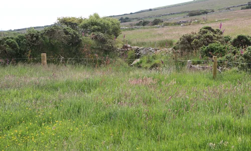 Herbal Ley in Penwith